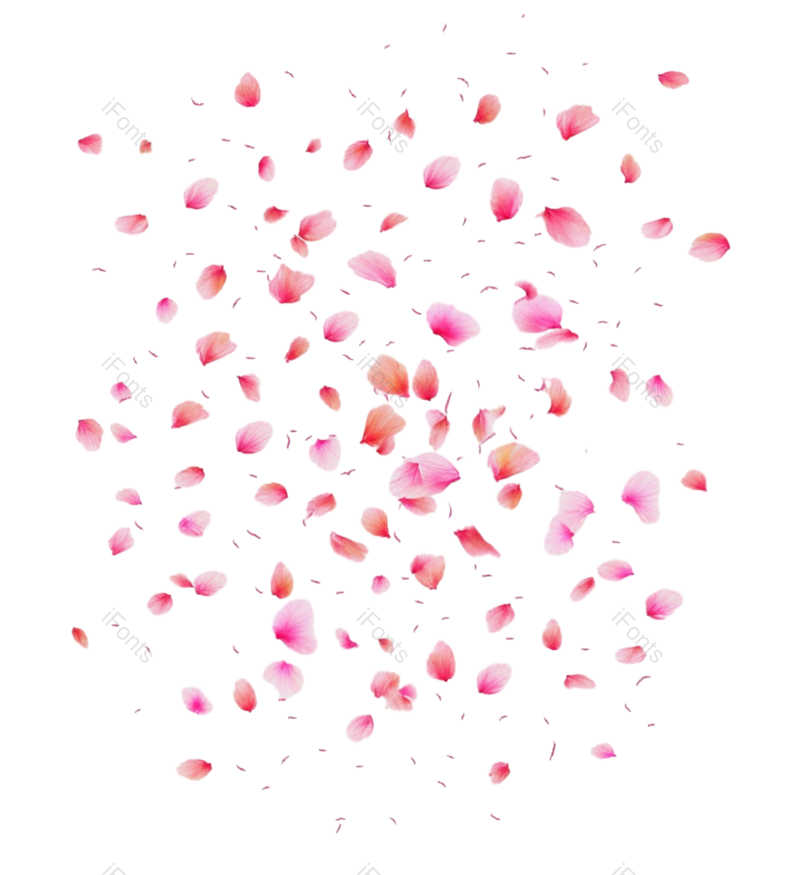 元素图片,卡通元素,白色背景PNG,花瓣免抠素材